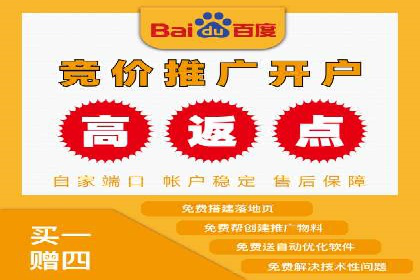 某行业头部企业信息流广告推广全解析